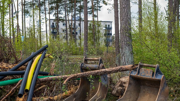 Arkeologi Ljungaviken 2020 1 RGB
