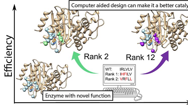Building on ancient protein structures, it is possible to create enzymes for new chemical reactions and use bioinformatic computation to improve them. Credit: https://pubs.rsc.org/en/content/articlelanding/2020/sc/d0sc01935f
