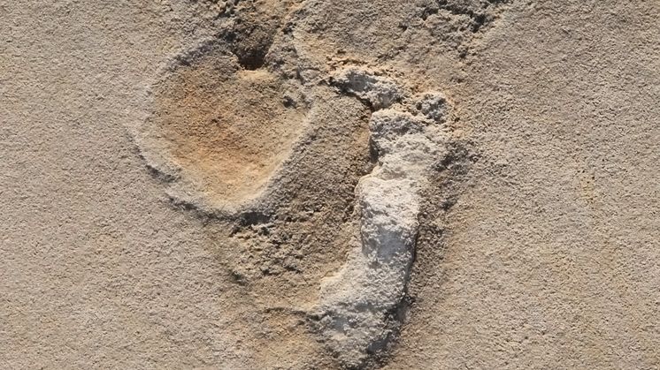 The footprints from Trachilos