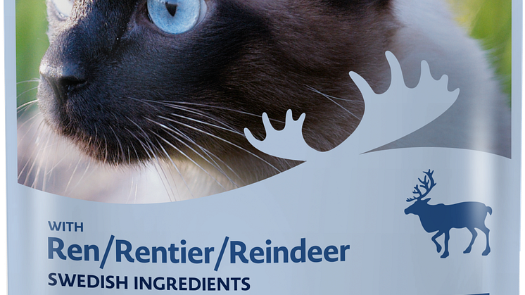 Reindeer in jelly