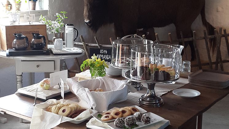 BisonsPark_Avesta_VisitDalarna