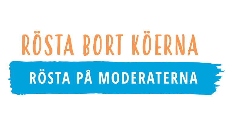 Moderat valmanifest för Region Skåne: Rösta bort köerna