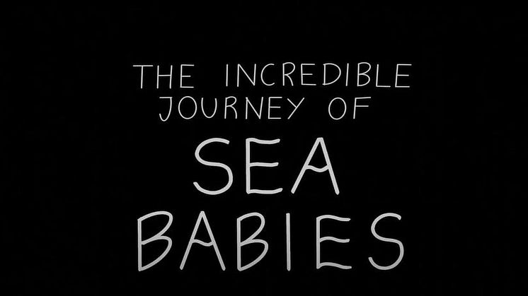 Outreach video from Polar Front meroplankton project