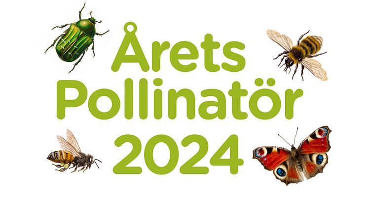 Newsdesk Årets Pollinatör .jpg