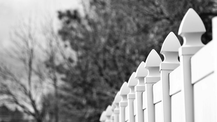 pexels-brett-sayles-942469 (3)
