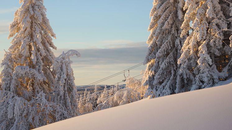 Miljöbilder Orsa Grönklitt