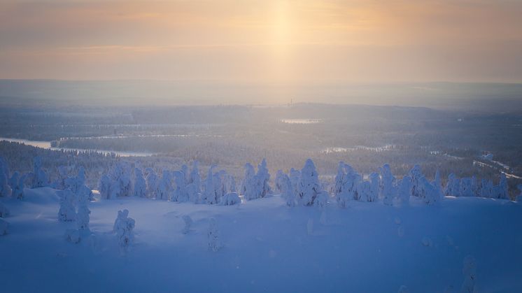 Foto: iStock, Tsuguliev