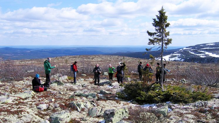 Gränslös turism i Fulufjällets nationalparker