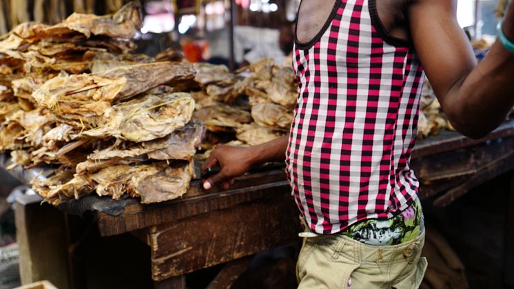 Tørrfiskselger på marked i Nigeria
