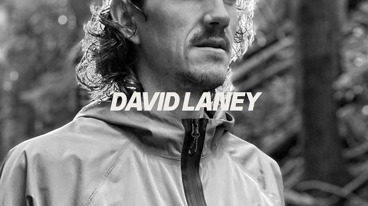 David Laney