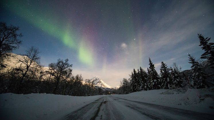 Best til å skape flyt i trafikken er de i Nord-Norge og Hedmark, og ikke overaskende er det unge menn som er hardest på gassen. 