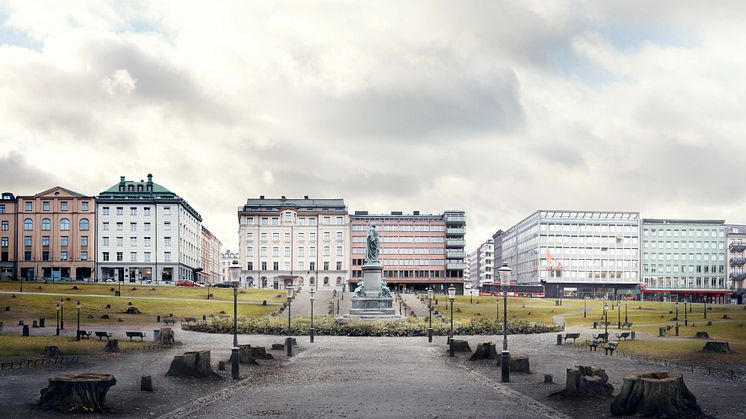 Humlegården blir kalhygge