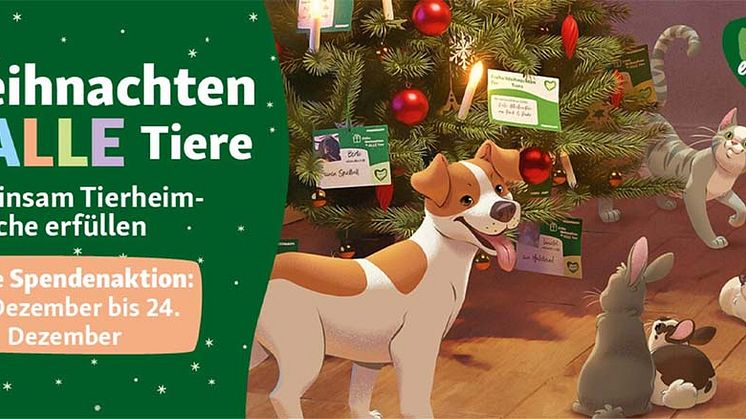 Keine traurigen Weihnachten im Tierheim: Fressnapf-Kund:innen und -Mitarbeitende sorgen für ein Fest der TierLiebe