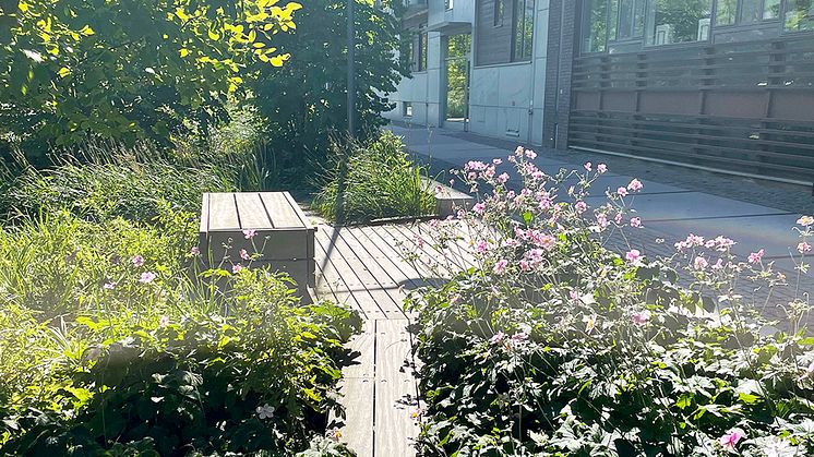 Ny innovationstävling söker lösningar för grönare städer
