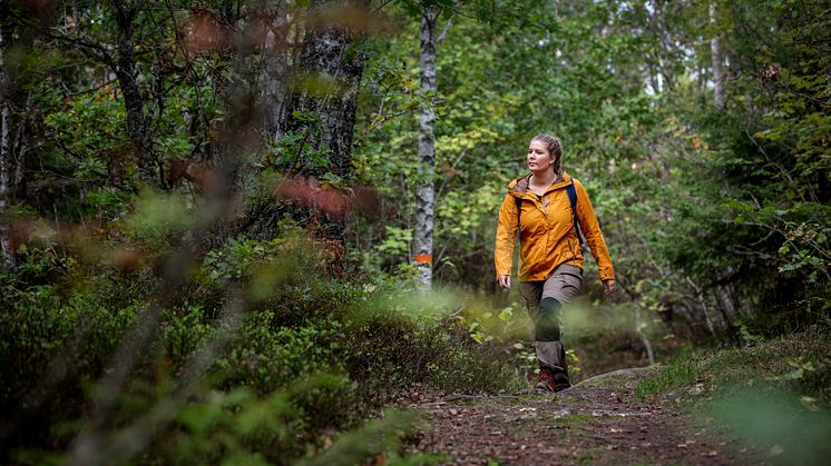 Billingeleden ska rustas upp för miljoner, medel som kommer från EU via Tillväxtverket.