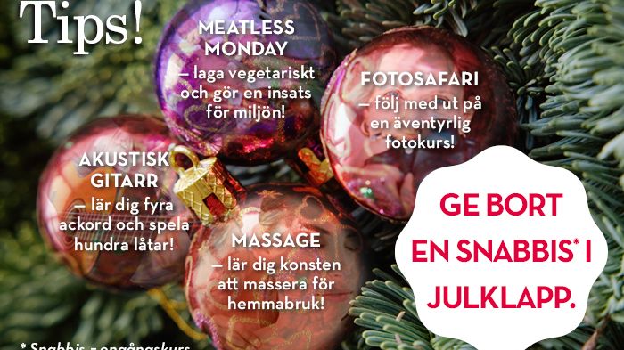 Ge bort en snabbis i julklapp!