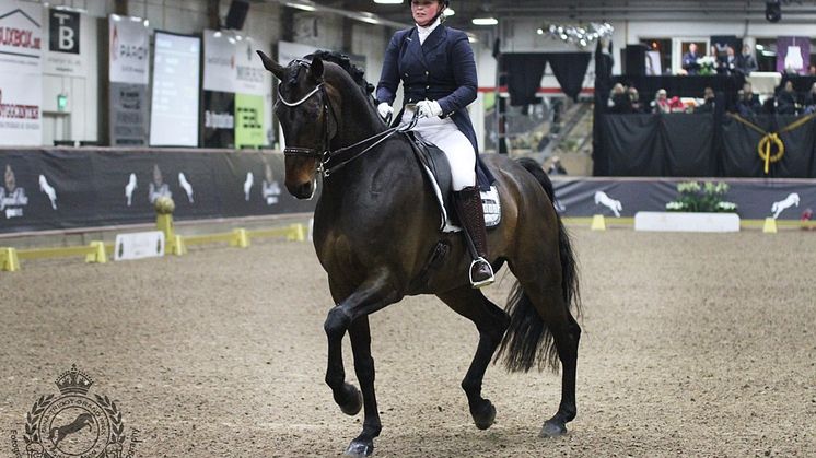 OS-ryttare till Gina Tricot Grand Prix Dressage Masters!