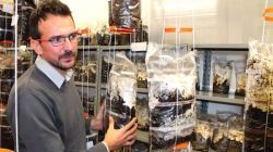  Postepay Crowd contribuisce all’economia ecosostenibile  con il supporto al progetto “Funghi Espresso”