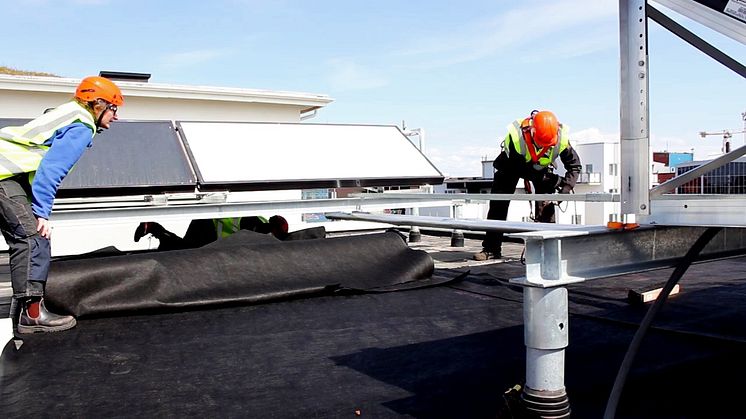 Gröna innovationer i staden