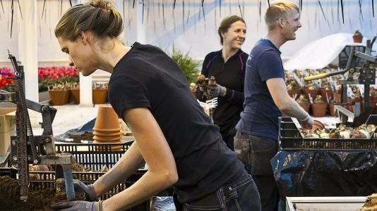 Regelrådet – Reglers effekter för företag behöver utredas bättre