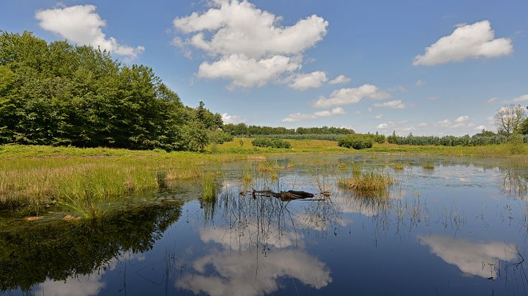 Fascinerende billeder fra dansk naturperle