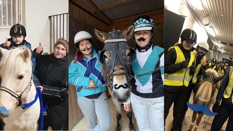 Från vänster: Solvalla, Axevalla, Solänget