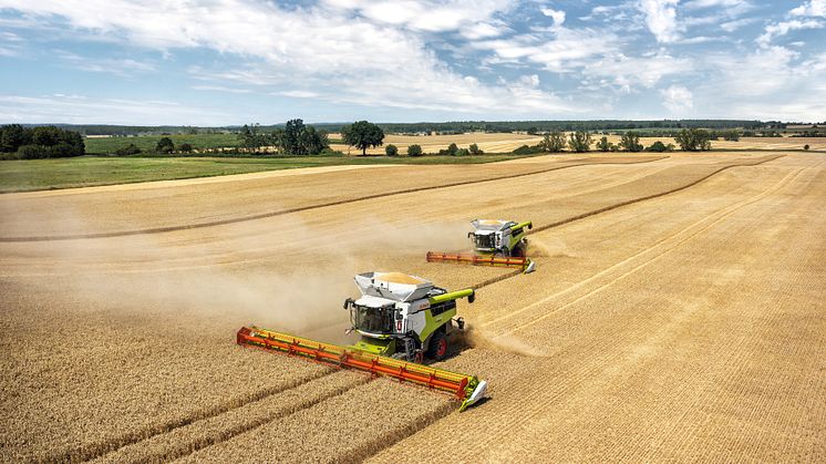 387710 LEXION combine harvester