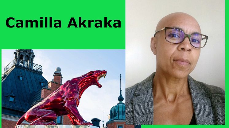 Ständigt närvarande frågor om klass, kön, ras, ålder och utseende... Välkommen till en zoomföreläsning med Camilla Akraka
