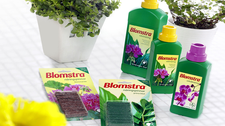 Blomstra_kitchen.png