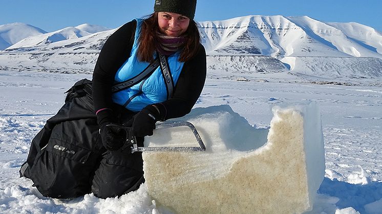 Photo: Ane Cecilie Kvernvik with sea ice full of algae in Van Mijenfjorden, Svalbard. Photo: Eva Leu/Akvaplan-niva