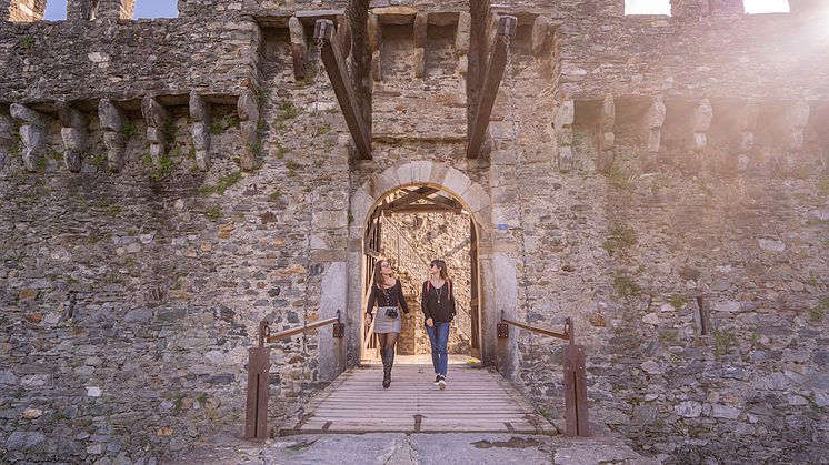 bellinzona_copyright_parisiva (7)
