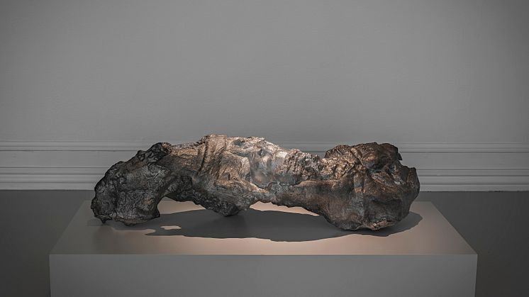 Ebba Bohlin Loss of Information 2020