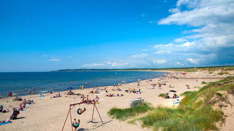 Vilshärad strand i Halmstad - en populär familjestrand.