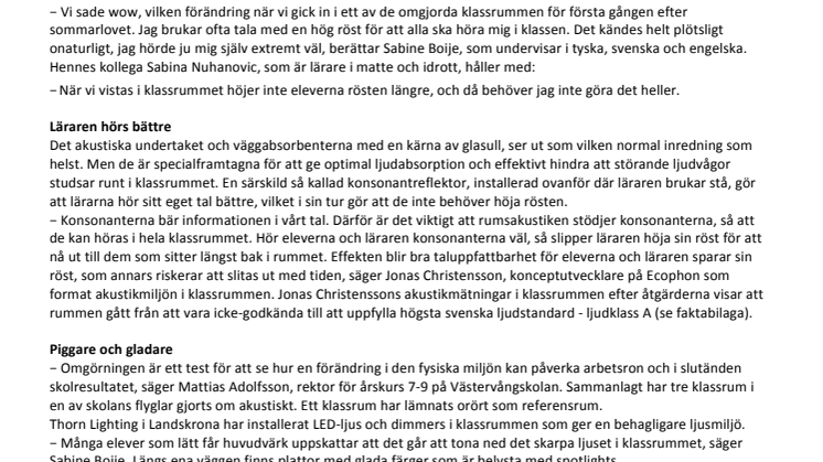 Akustisk ”makeover” skapade arbetsro i klassrummet