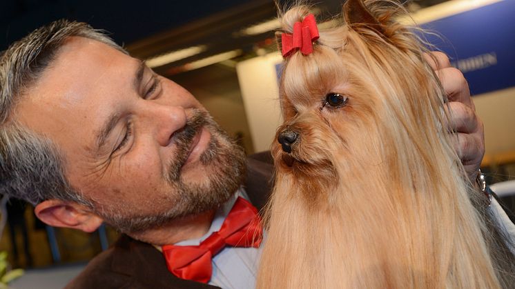 BIS - International Dog Show - MyDOG 2