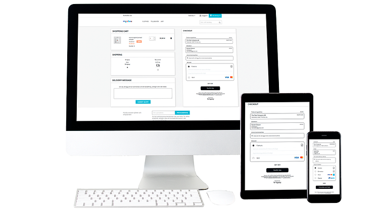 En flexibel checkout för B2B