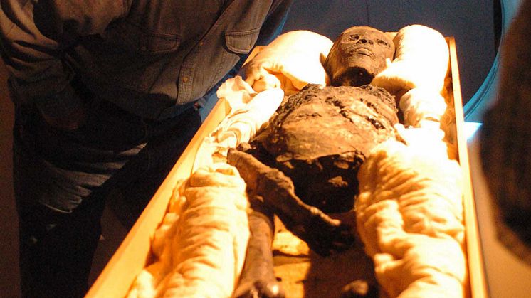 Dr Zahi Hawass leder tekniska undersökningar av Egyptens mumier