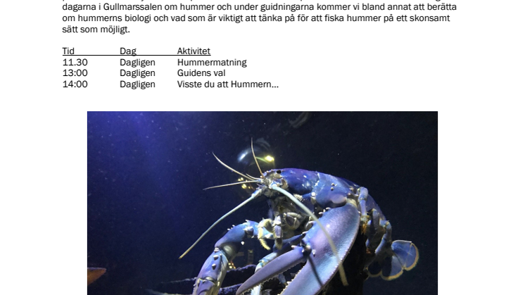 220922 Hummer på Havets Hus i helgen.pdf
