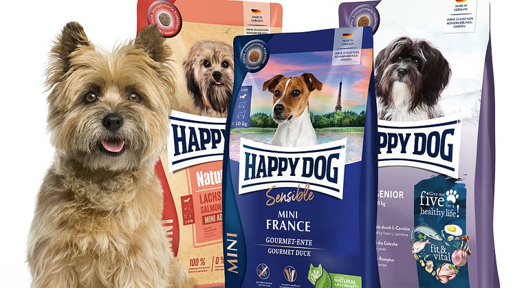 Happy Dog Ratgeber: Das richtige Ernährung kleiner Hunderassen im Winter