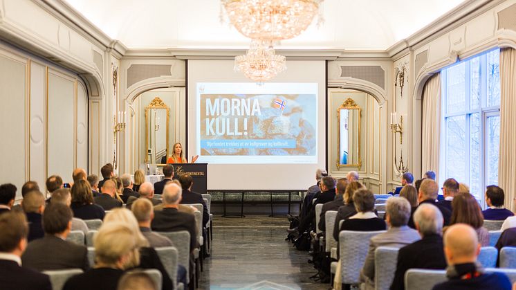 Nina Jensen, generalsekretær i WWF Norge, holder innlegg på LOS Energy Day