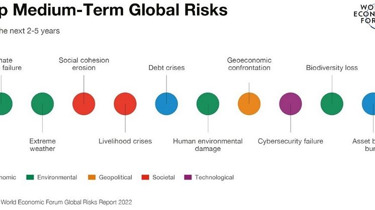 Top_Medium_Term_Global_Risks.jpg