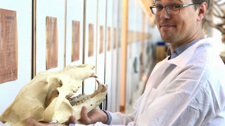 Expert Erik Ersmark med skalle
