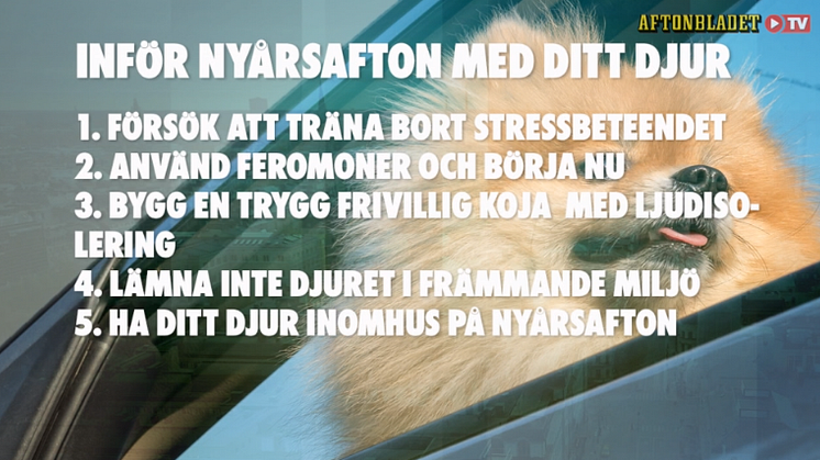 Tips inför nyår 