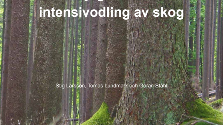 Möjligheter till intensivodling av skog, Slutrapport från SLU