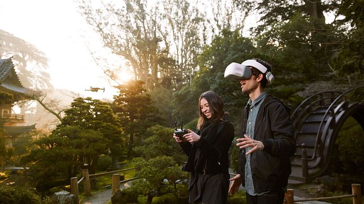 DJI Goggles