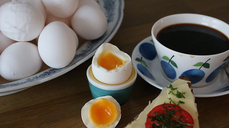 Ägg