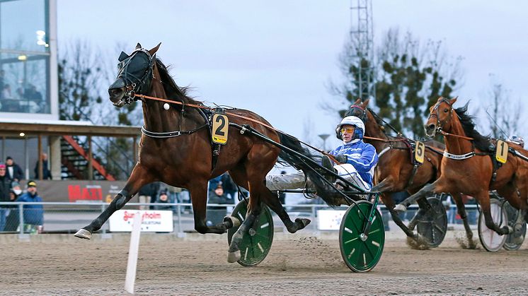 Brother Bill klar för Elitloppet 2022. Foto: TR Bild