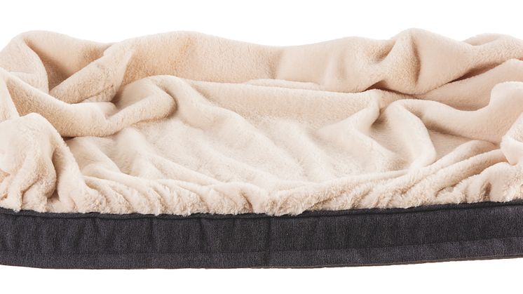 Basic Blanket Dog Bed