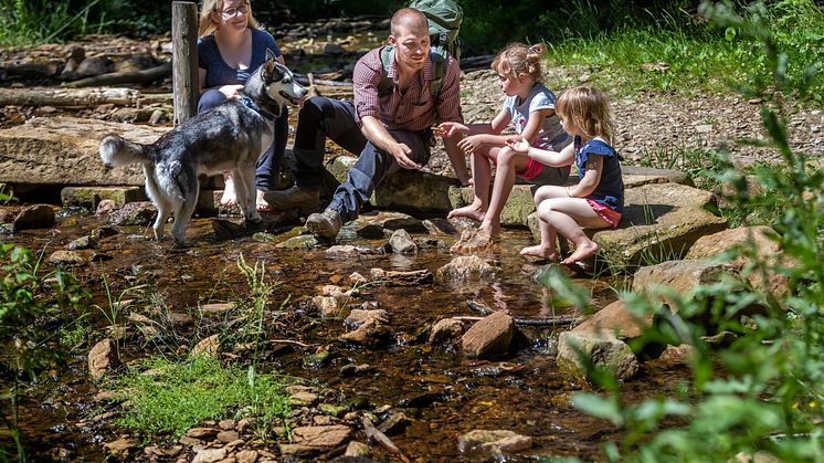 Wander_Wald_Familie_Geyer_28_Foto_TVE_Uwe Meinhold