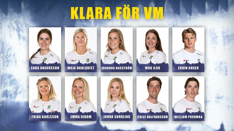 221220_Klara för VM_Hemsida